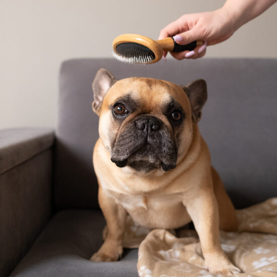 Kažoka un nagu kopšanas piederumi