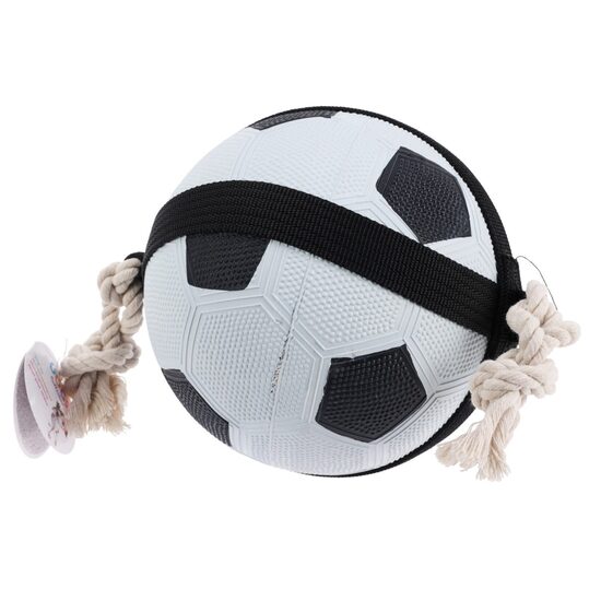 DOGS rotaļlieta suņiem d19cm