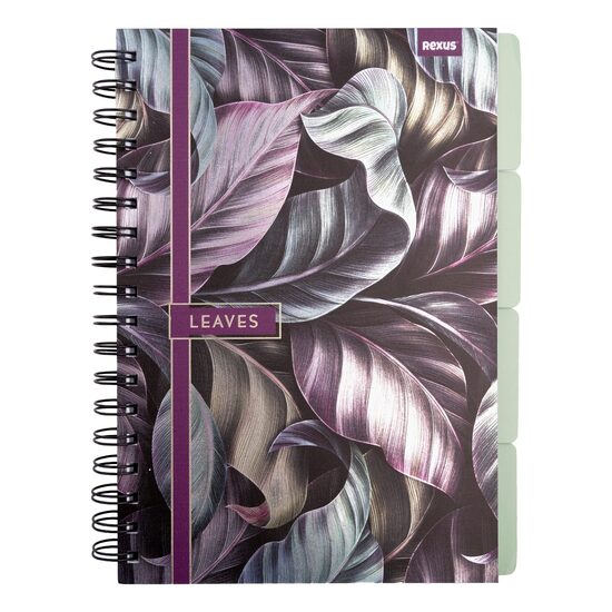 REXUS rūtiņu klade B5, 96 lapas, cietie vāki, ar perforētu līniju, ar aploksni, lapas