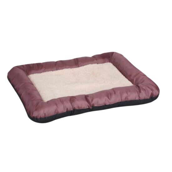 DOG & KATS gulta 70x50cm, brūna